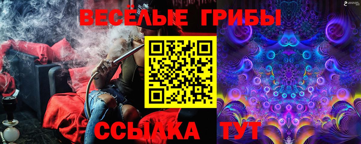 Галлюциногенные грибы Psilocybine cubensis Ачхой-Мартан