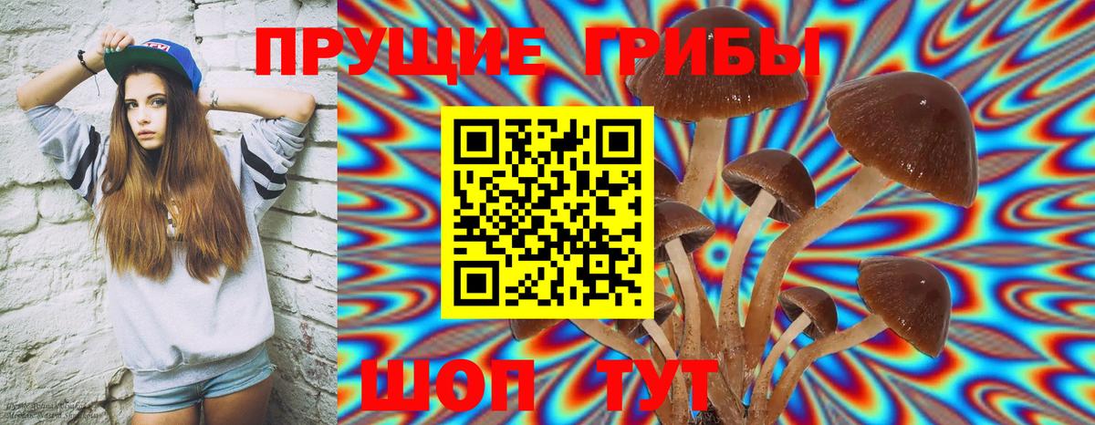 как найти наркотики  Галлюциногенные грибы Cubensis  Вход с VPN  Ачхой-Мартан  Галлюциногенные грибы GOLDEN TEACHER 