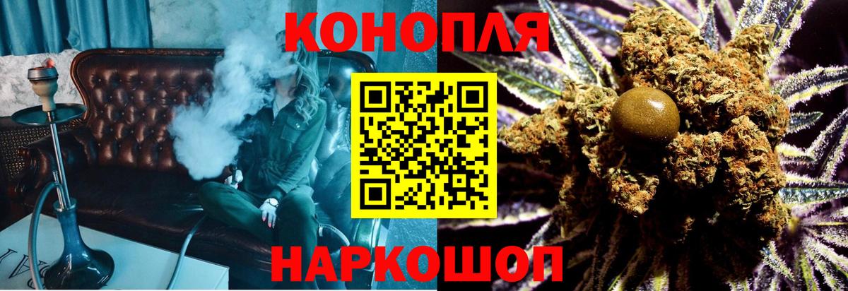 Канабис конопля Ачхой-Мартан